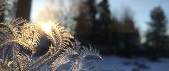 SKY:s nyhetsbrev januari 2018