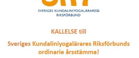 Inbjudan till SKY:s årsmöte 16 februari 2020
